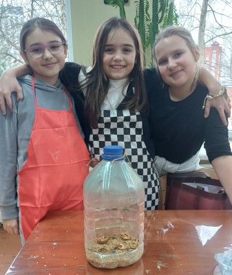 ���� ��������� ������