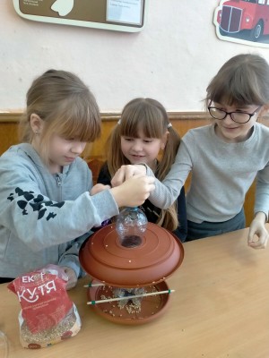 ���� ��������� ������