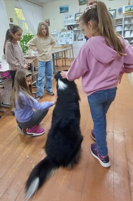 ̳��������� ���� ������� ������