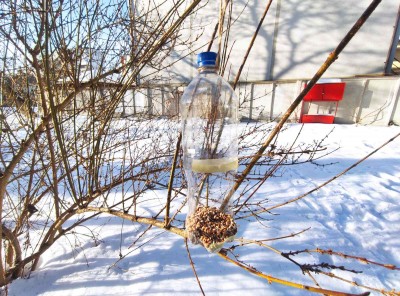 ���� ��������� ������