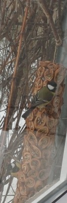 ���� ��������� ������