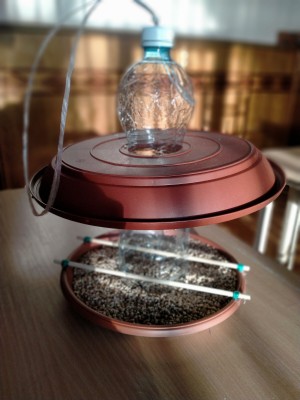 ���� ��������� ������