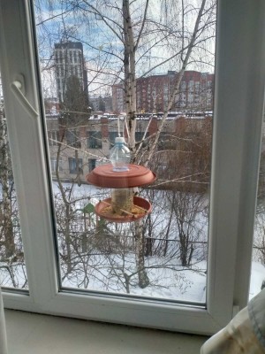 ���� ��������� ������